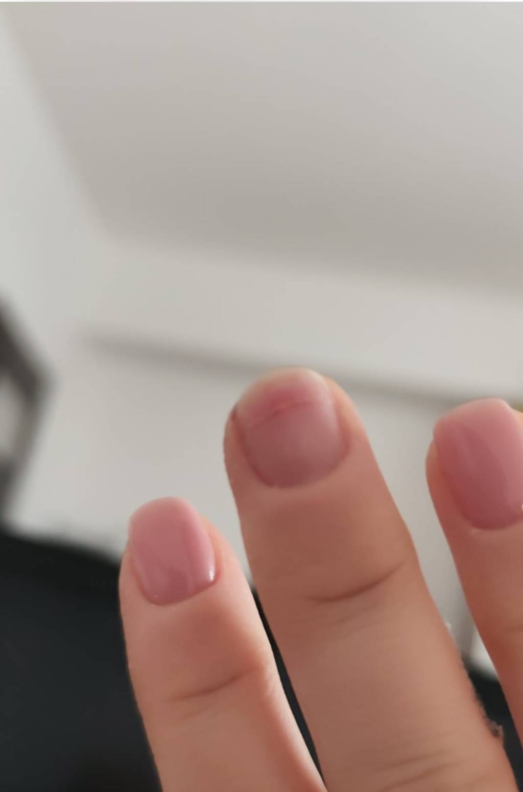 The Architecture of Patience: Lessons from a 5 AM&nbsp;Sanctuary